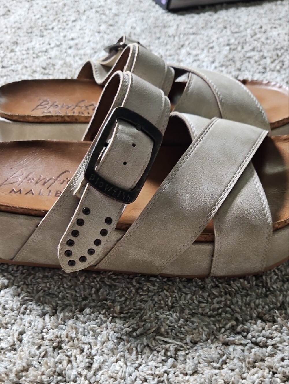 Blowfish Cross-Strap Platform Sandals with Adjustable Buckle - Picture 3 of 13